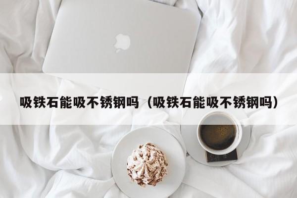 吸铁石能吸不锈钢吗（吸铁石能吸不锈钢吗）