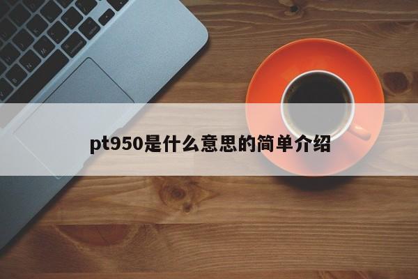 pt950是什么意思的简单介绍