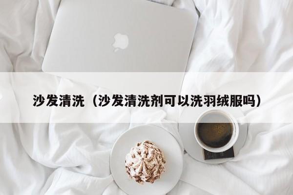 沙发清洗（沙发清洗剂可以洗羽绒服吗）