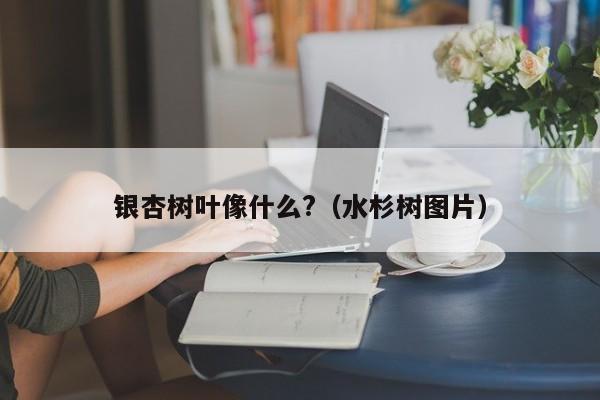 银杏树叶像什么?（水杉树图片）