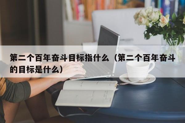 第二个百年奋斗目标指什么（第二个百年奋斗的目标是什么）