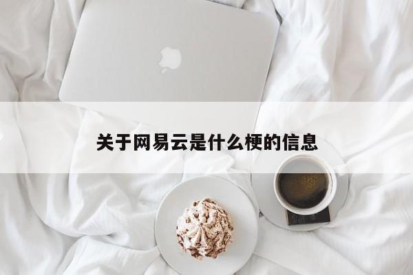 关于网易云是什么梗的信息