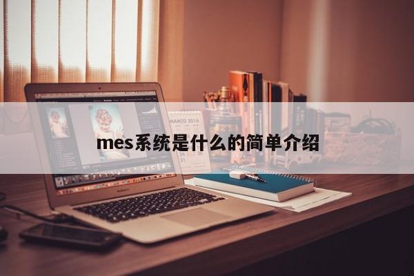 mes系统是什么的简单介绍