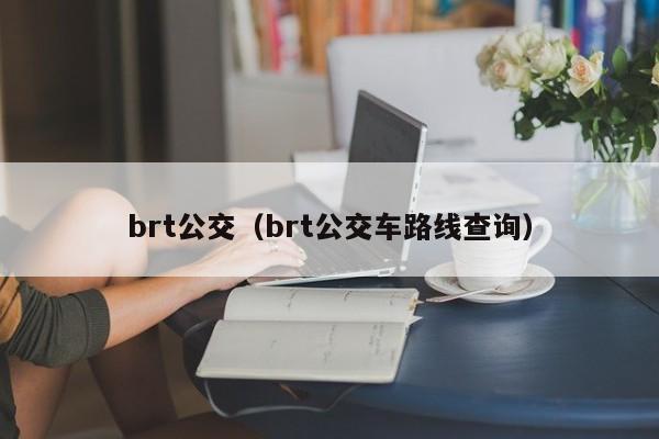 brt公交（brt公交车路线查询）