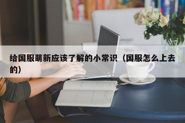 给国服萌新应该了解的小常识（国服怎么上去的）