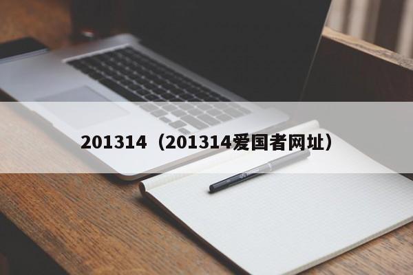 201314（201314爱国者网址）