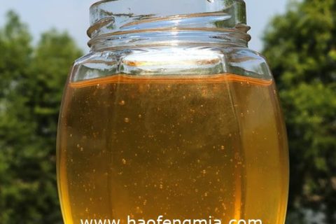 中午喝蜂蜜水对身体有好处吗