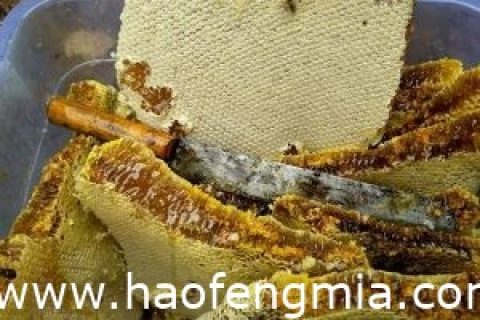 野生蜂蜜质量如何鉴别？