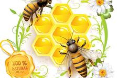 蜜蜂养殖技术之早管蜂群防春衰
