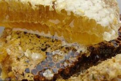 流蜜期蜂群如何管理？蜂蜜养殖之流蜜期
