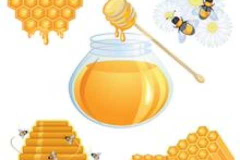 中国政府对蜜蜂产业十分重视