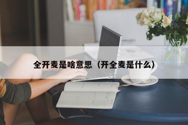 全开麦是啥意思（开全麦是什么）