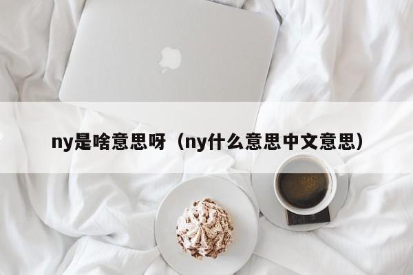 ny是啥意思呀（ny什么意思中文意思）